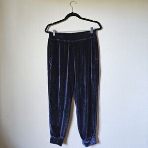 EUC Velvet Women's Pants in Dark Blue